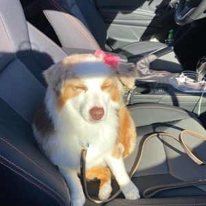 Meet your Posher, Allyson